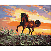 Картина По Номерам "лошадь" Bs6943 Brushme 40х50 См Salex Картина За Номерами "кінь" Bs6943 Brushme 40х50 См