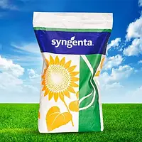 СЕМЕНА ПОДСОЛНЕЧНИКА НК Конди (Syngenta)