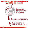 Royal Canin (Роял Канін) Medium Adult для собак середніх порід від 12 місяців до 7 років, 15 + 3 кг, фото 5