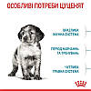 Royal Canin Medium Puppy для цуценят середніх порід віком від 2 до 12 місяців, 15 кг, фото 5