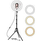 Кільцева LED лампа 33 см з утримувачем для телефону LC-330 + штатив 2 метри, фото 2