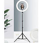 Кільцева LED лампа 33 см з утримувачем для телефону LC-330 + штатив 2 метри, фото 3