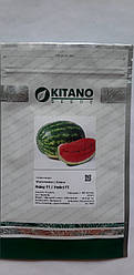 Насіння Кавун Найсі F1,1000 насінин Kitano Seeds