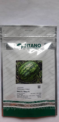 Насіння Кавун Балу F1,1000 насінин Kitano Seeds, фото 1