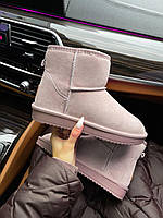 Угги женские UGG Classic Mini Pink Suede розовые короткие на меху стильные