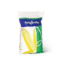 Семена кукурузы СИ ФЕНОМЕН (Syngenta)