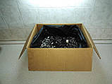 Комплект для вирощування печериць (шампіньйонів) в коробці, фото 5