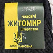 Шкарпетки чоловічі демісезонні бавовна бічний візерунок Житомир Дипломат, 29 розмір, чорні, 07860, фото 4