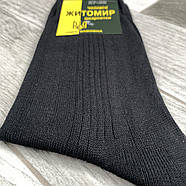 Шкарпетки чоловічі демісезонні бавовна бічний візерунок Житомир Дипломат, 29 розмір, чорні, 07860, фото 3