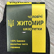 Шкарпетки чоловічі демісезонні бавовна бічний візерунок Житомир Дипломат, 29 розмір, чорні, 07860, фото 5