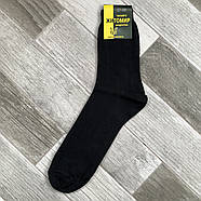 Шкарпетки чоловічі демісезонні бавовна бічний візерунок Житомир Дипломат, 29 розмір, чорні, 07860, фото 2