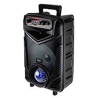 Колонка-чемодан NDR-P44 20W USB FM-радио Bluetooth с микрофоном и пультом, Мощная портативная стереосистема