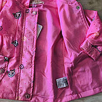 Вітровка для дівчаток оптом, S&D, 1-5 років, № KK-1078, фото 7