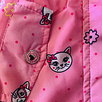 Вітровка для дівчаток оптом, S&D, 1-5 років, № KK-1078, фото 6
