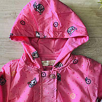 Вітровка для дівчаток оптом, S&D, 1-5 років, № KK-1078, фото 4