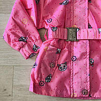 Вітровка для дівчаток оптом, S&D, 1-5 років, № KK-1078, фото 5
