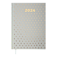 Ежедневник датированный 2024 (A5, 336 стр, серый) BUROMAX MODERNA BM.2172-09