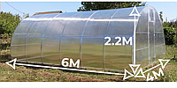 Теплиці Веган з полікарбонатом 4мм Розмір 4×6х2.2м Оцинкована квадратна труба (bigtorg.com)