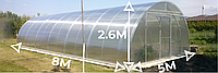 Теплиця Алмір 5×8м з квадратної труби Полікарбонат 4 мм (bigtorg.com)