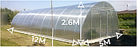 Теплиця Алмір 5×12м з квадратної труби Полікарбонат 4 мм (bigtorg.com)