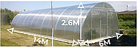 Теплиця Алмір 6×14м з квадратної труби Полікарбонат 4 мм(bigtorg.com)