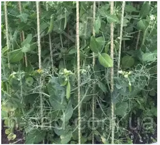 Кілочки Опори з Композитної арматури діаметром 6, 7 ,8, 10, 12 мм за вашими розмірами, фото 1