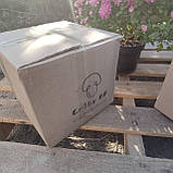 Комплект для вирощування печериць (шампіньйонів) в коробці, фото 8