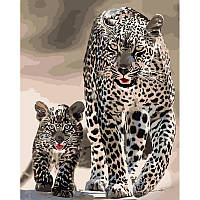 Картина по номерам Леопардовая семья Strateg 40х50см. (GS934)