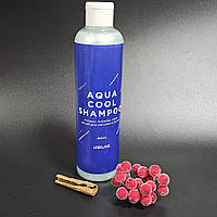 Lebelage Aqua Cool Shampoo Освіжаючий шампунь для чоловіків з екстрактом м'яти з охолоджуючим ефектом, 300мл