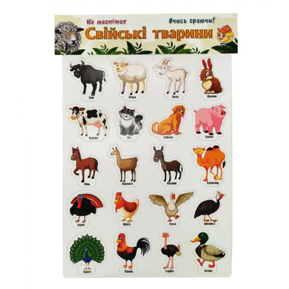 Гра на магнітах "Домашні тварини" 45*30 см ARTOS Games Україна (1243)