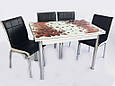 Комплект обідніх меблів "Квітка коричневий" (стол ДСП, гартоване скло + 4 стільці) Mobilgen, Туреччина, фото 2