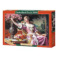Пазлы "Дама в фиолетовом платье" 3000 элементов Castorland (арт C-300020)