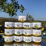 Мазь воскова Чебрець і прополіс 100 мл, фото 7