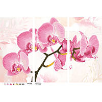 Схема картини Ніжна рожева орхідея (триптих) для вишивки бісером на атласі ТК099ан8658