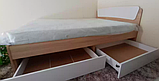 Двоспальне ліжко Компаніт Класика-140 лдсп дуб-сонома, фото 6