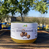 Мазь 20 % прополісно-воскова при ранах, опіках, пролежнях 100 мл, фото 6