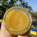 Мазь 20 % прополісно-воскова при ранах, опіках, пролежнях 100 мл, фото 3