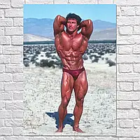 Плакат "Фрэнк Зейн, бодибилдер, Frank Zane", 60×43см