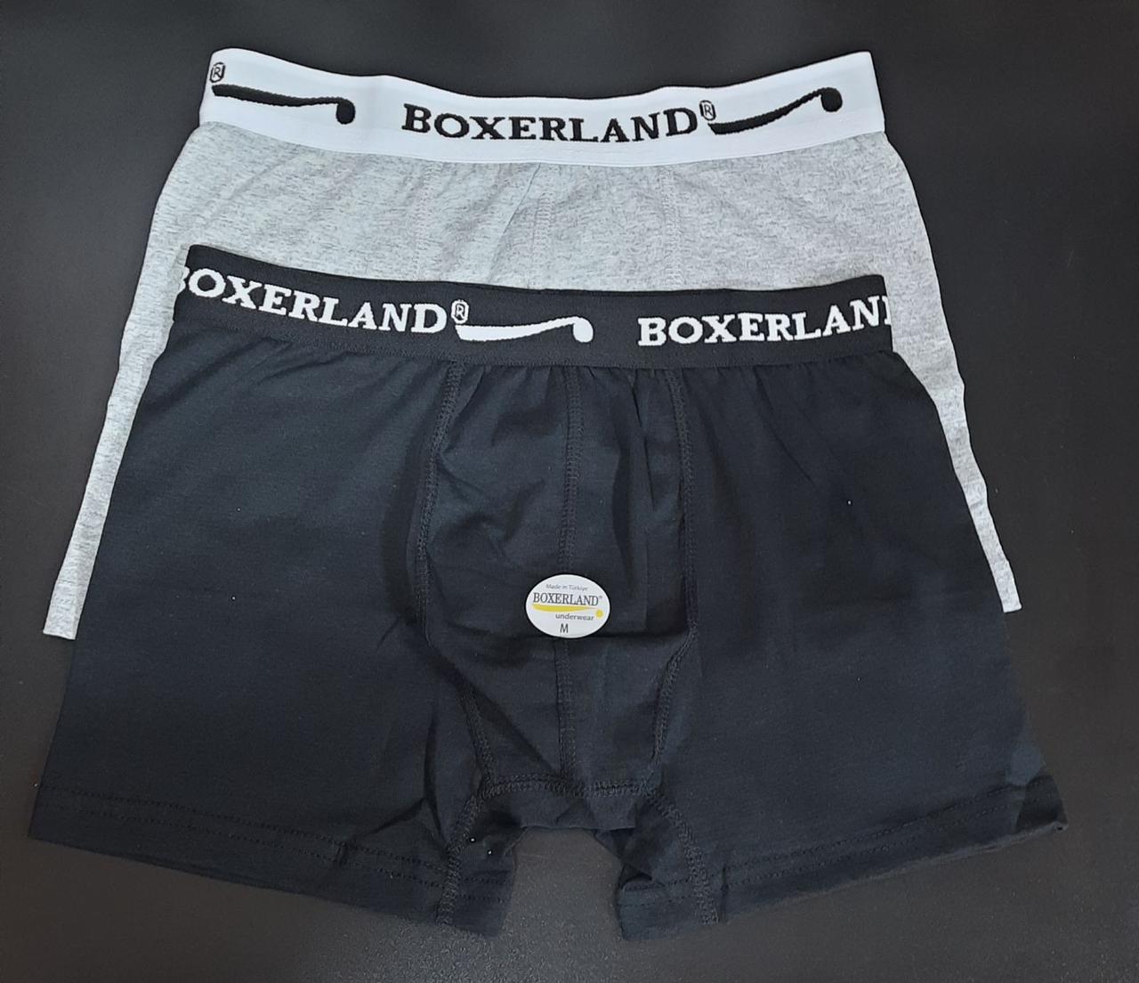 Чоловічі труси - боксери "Boxerland", L(48-50) р-р. Чоловічі труси - шорти, турецькі чоловічі труси