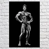 Плакат "Фрэнк Зейн, бодибилдер, Frank Zane", 60×40см