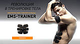 Пояс Ems Trainer 3В1 для преса/Міостимулятор/Пояс Ems-trainer стимулятор м'язів преса + 2 на біцепс, фото 4