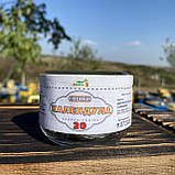 20 шт Свічки Календула на маслі какао, фото 5