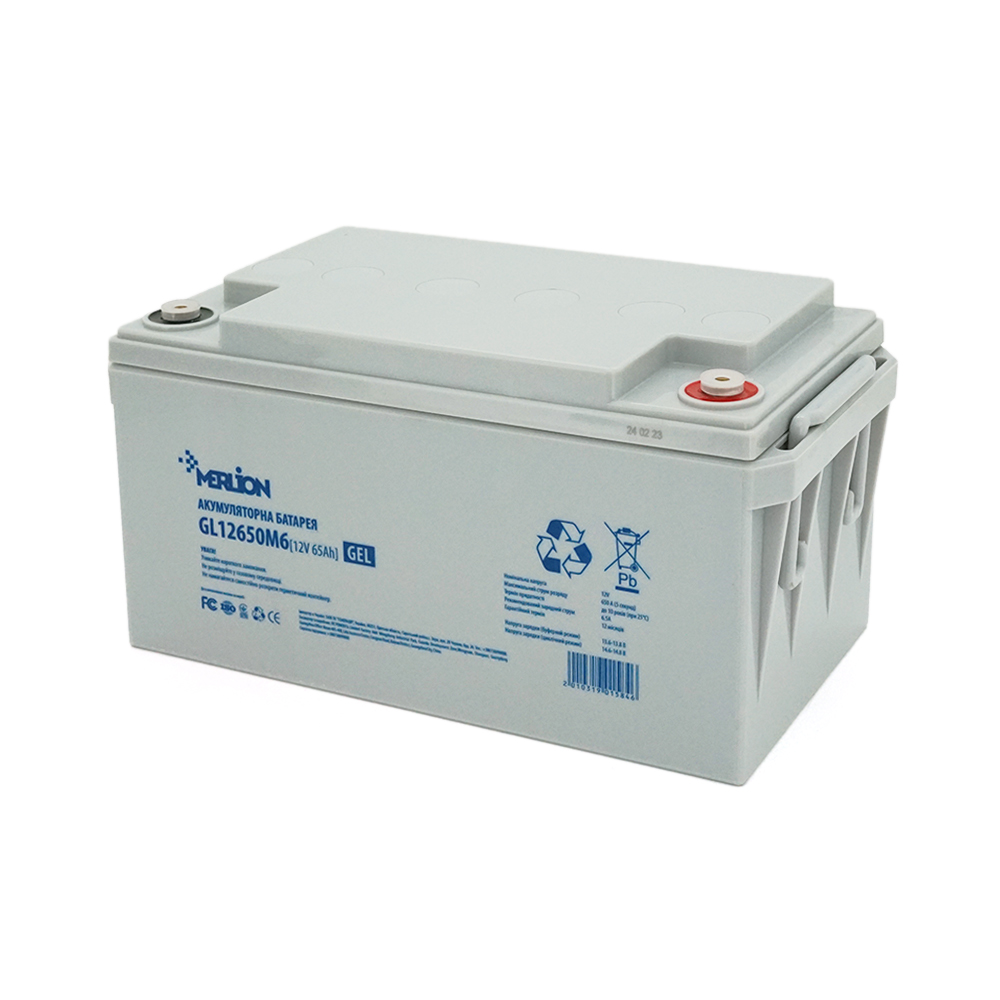 Акумулятор Merlion GL12650M6 12V 65Ah, фото 1