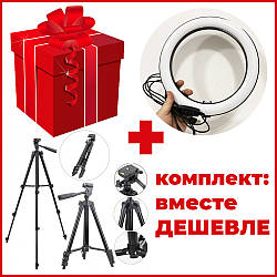 Комплект: Штатив TriPod 3120 + Кільцева лампа GO-178 26 см