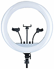 Кільцева лампа 45 см RL-18 55W зі штативом 2 метри, фото 2