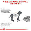 Royal Canin Gastrointestinal Puppy - Ветеринарна дієта для цуценят при порушеннях травлення 1 кг, фото 3