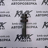 Болт (шестерні) колінчастого валу 1.9cdti (z19dth, z19dt, z19dtl) Opel Astra H Zafira B Vectra C