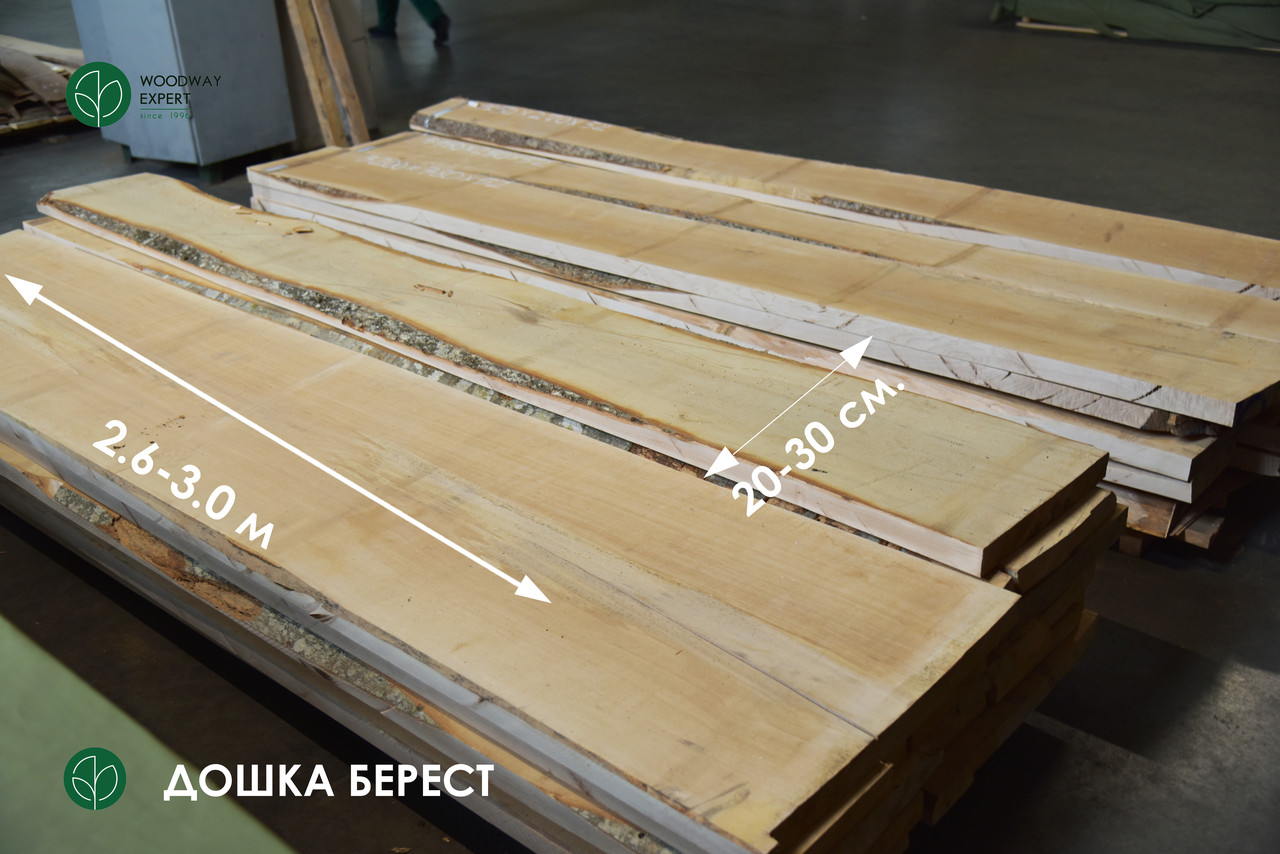 Дошка необрізна берест - 1 ґатунок, ПОШТУЧНО (Т/Д/Ш 52/305/26)*, фото 1