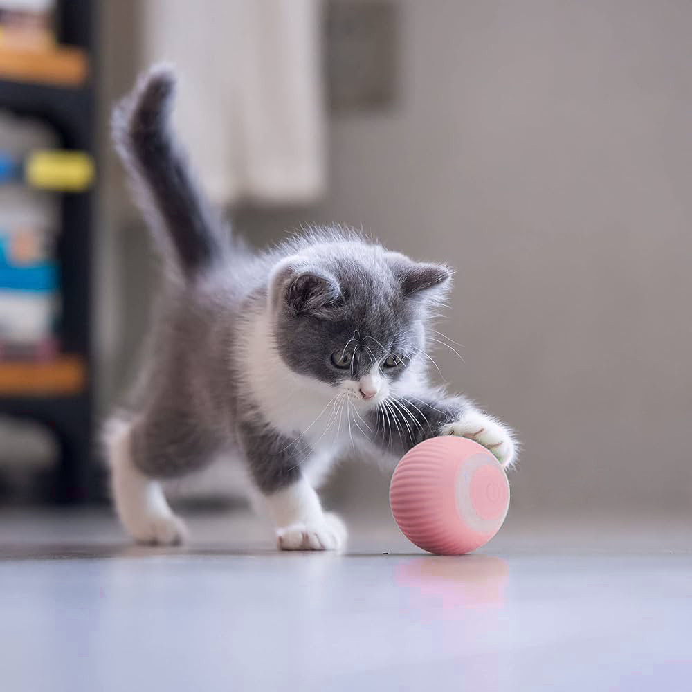 Інтерактивна іграшка для котів і маленьких собак розумний м'яч UFT CatToy 1 Pink