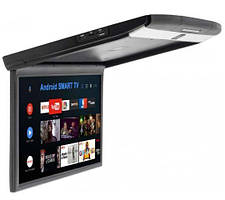 Монітори стельові